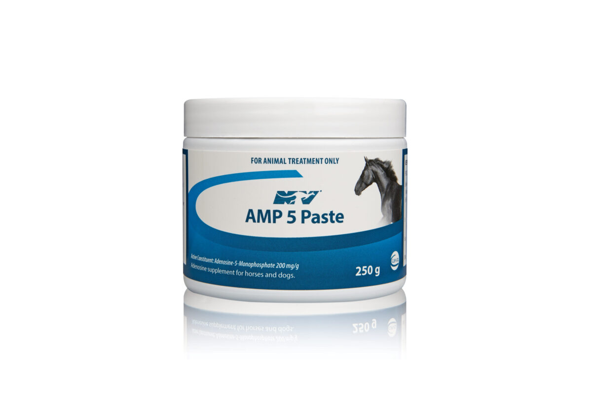 AMP-5 Paste 250g