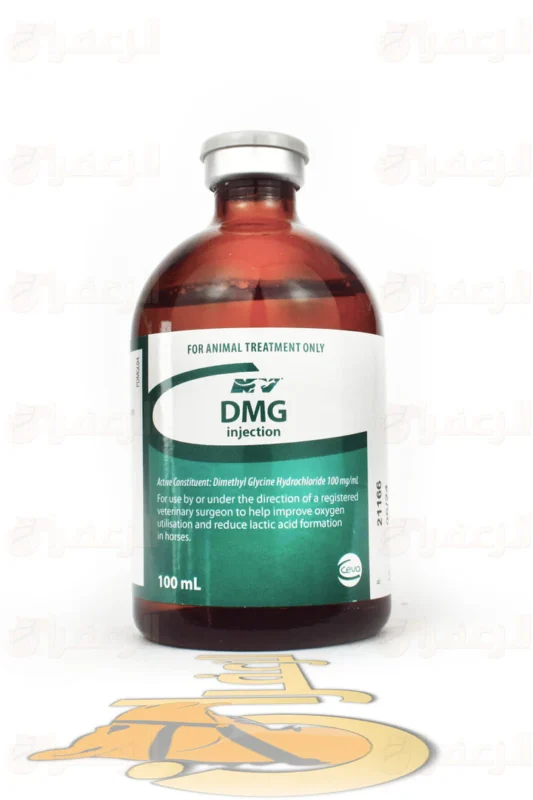 DMG 100ml