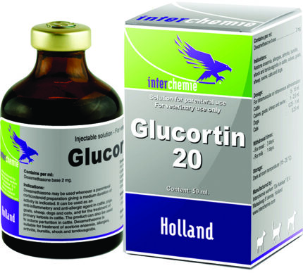 Glucortine-20 50ml