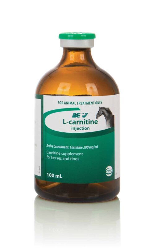 injectable l carnitine