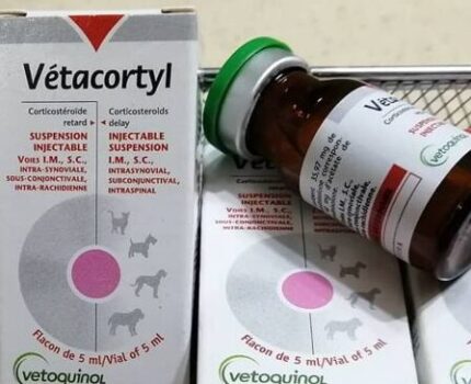 Vetacorty 5ml