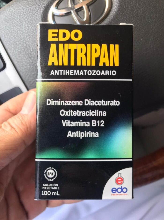 edo-antripan