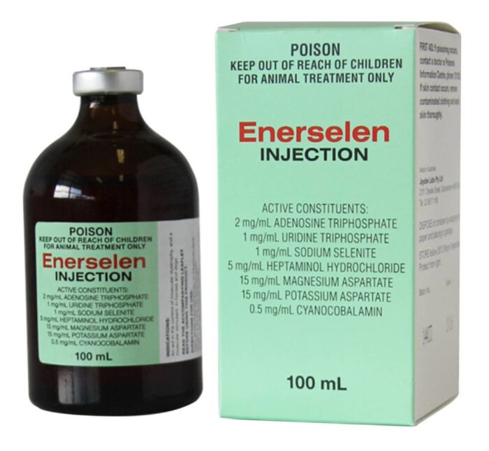 enerselen injection 100ml