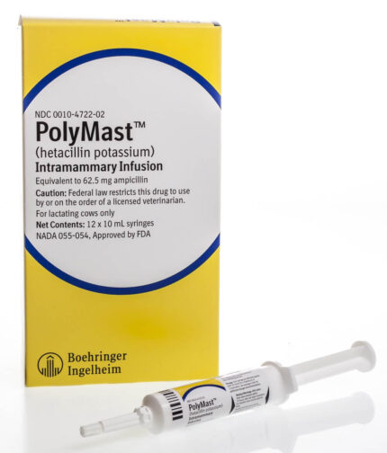 PolyMast